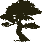 Briarwood Country Club tree logo icon